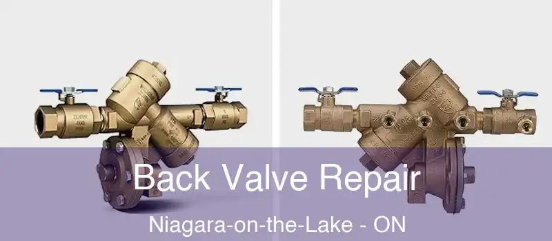  Back Valve Repair Niagara-on-the-Lake - ON