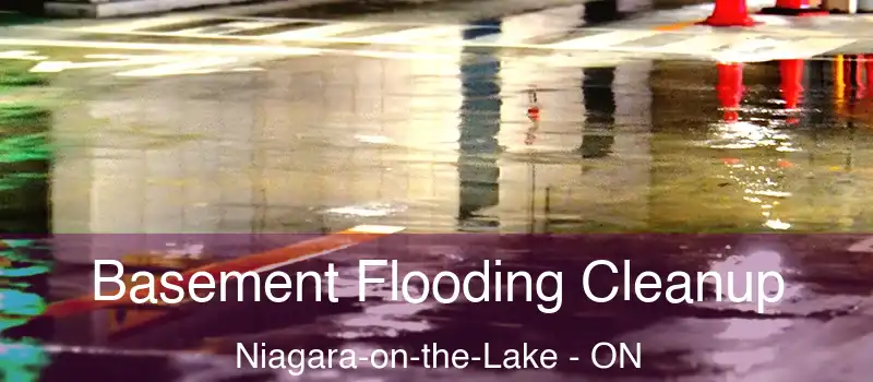 Basement Flooding Cleanup Niagara-on-the-Lake - ON