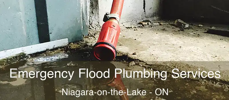  Emergency Flood Plumbing Services Niagara-on-the-Lake - ON