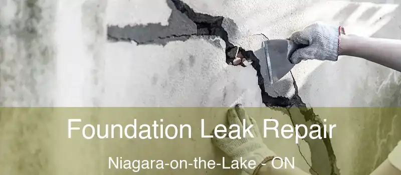 Foundation Leak Repair Niagara-on-the-Lake - ON