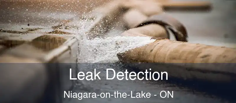 Leak Detection Niagara-on-the-Lake - ON