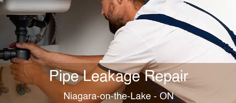  Pipe Leakage Repair Niagara-on-the-Lake - ON