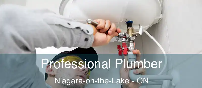  Professional Plumber Niagara-on-the-Lake - ON