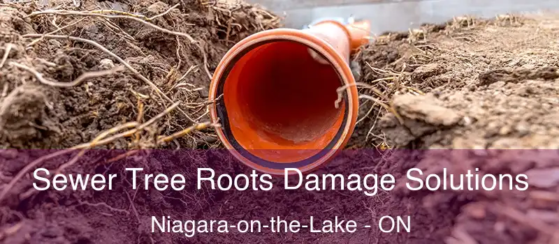 Sewer Tree Roots Damage Solutions Niagara-on-the-Lake - ON