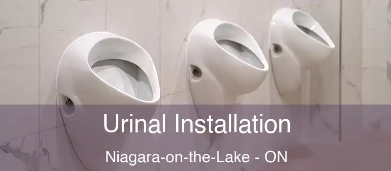 Urinal Installation Niagara-on-the-Lake - ON