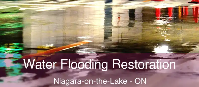  Water Flooding Restoration Niagara-on-the-Lake - ON
