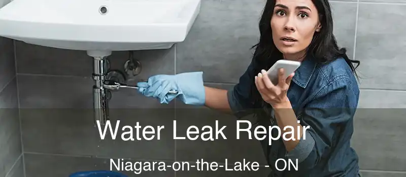 Water Leak Repair Niagara-on-the-Lake - ON