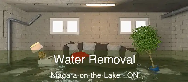  Water Removal Niagara-on-the-Lake - ON
