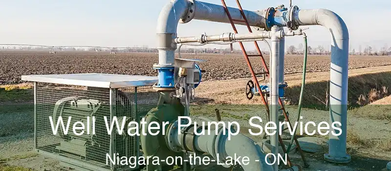  Well Water Pump Services Niagara-on-the-Lake - ON